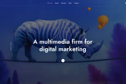 3SixtyEye - A multimedia firm for digital marketing, content production + moments photography